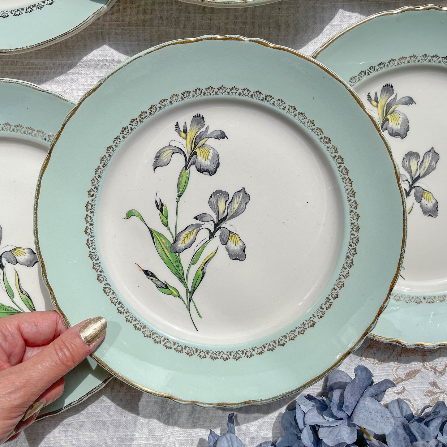 6 Assiettes plates porcelaine vintage blanche verte Iris Moulin des Loups "Sargosse" 1950s
