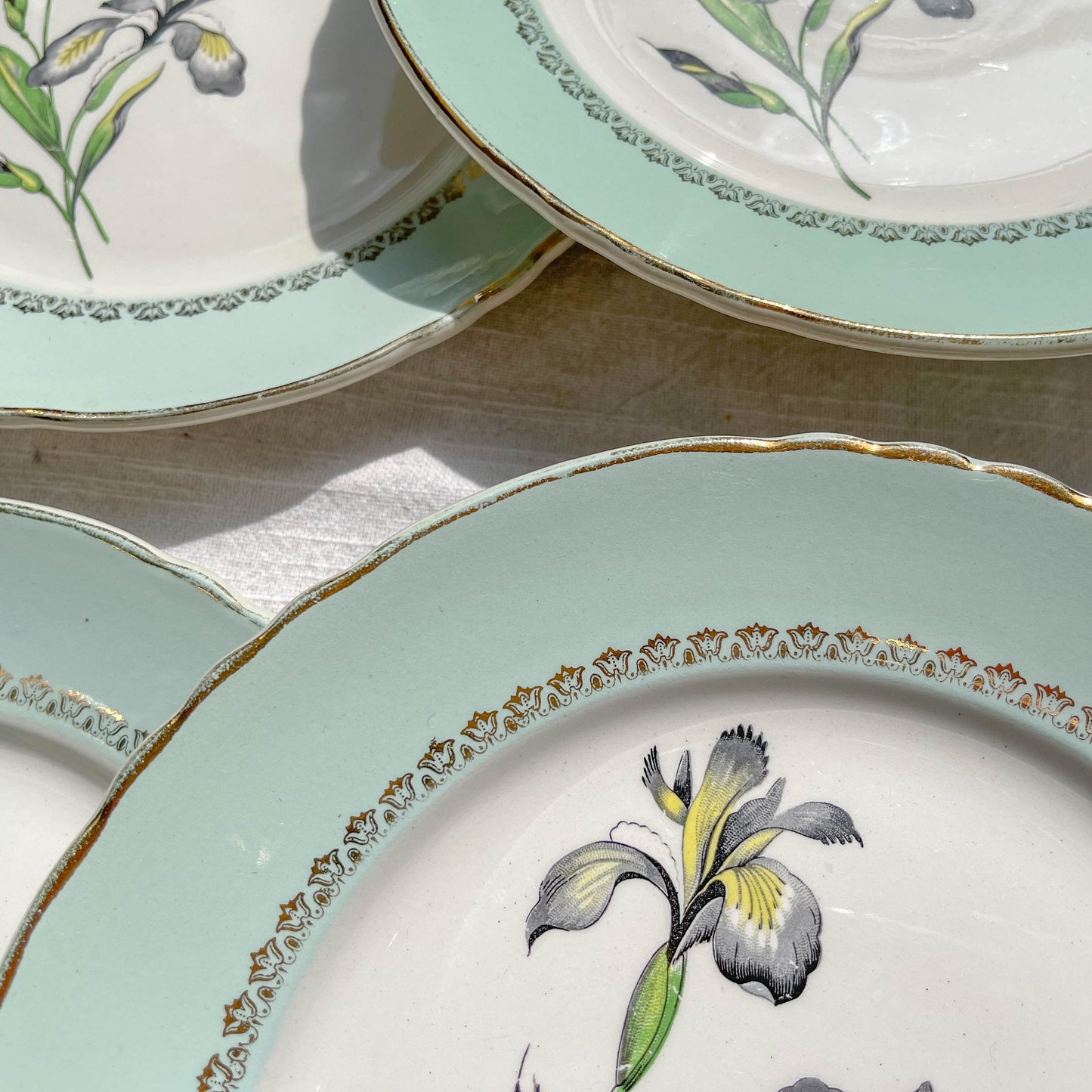6 Assiettes plates porcelaine vintage blanche verte Iris Moulin des Loups "Sargosse" 1950s