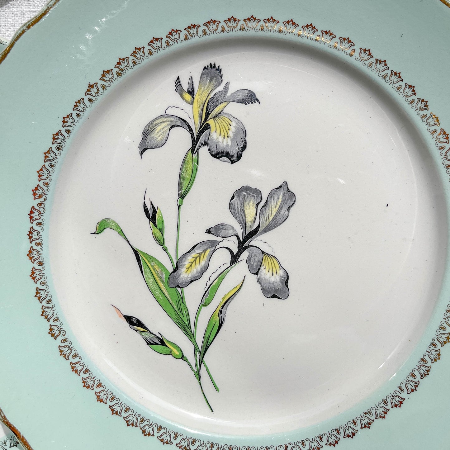 6 Assiettes plates porcelaine vintage blanche verte Iris Moulin des Loups "Sargosse" 1950s