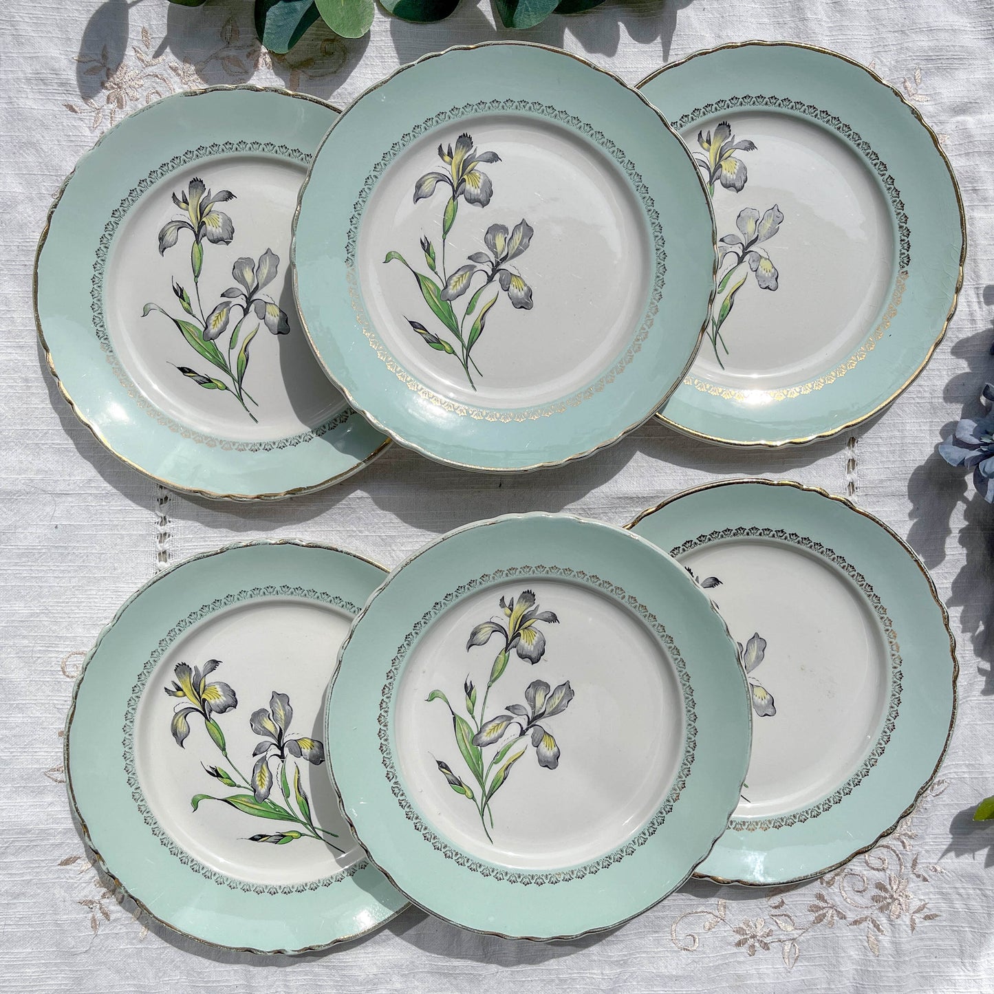 6 Assiettes plates porcelaine vintage blanche verte Iris Moulin des Loups "Sargosse" 1950s