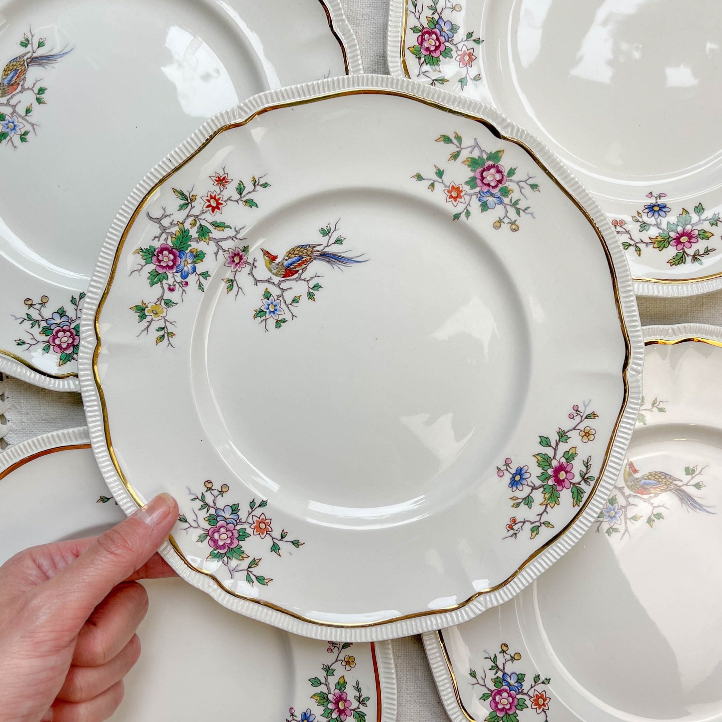 Lot de 5 grandes assiettes vintage en porcelaine Longchamp Chantilly, motif floral et oiseau de paradis, liseré doré, années 1970, vaisselle ancienne française