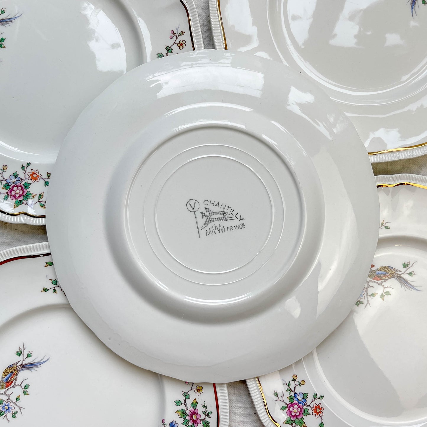 Lot de 5 grandes assiettes vintage en porcelaine Longchamp Chantilly, motif floral et oiseau de paradis, liseré doré, années 1970, vaisselle ancienne française