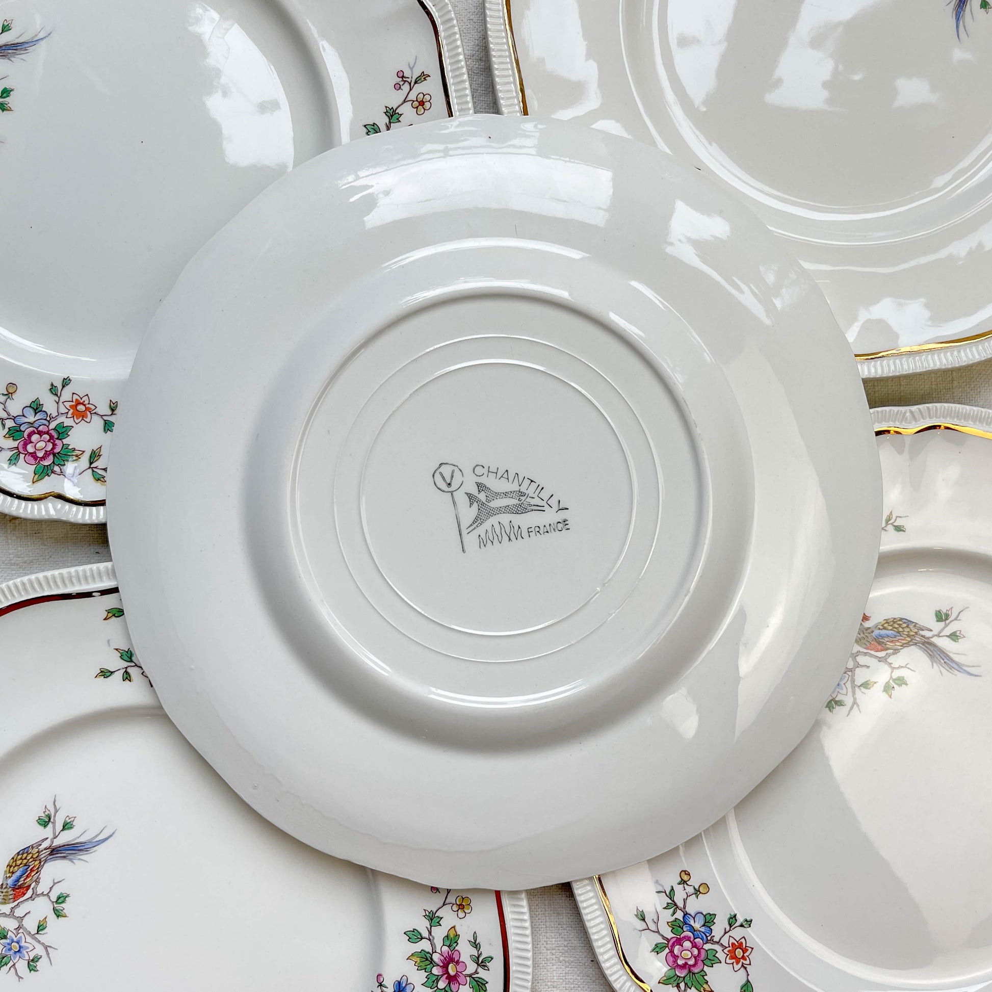 Lot de 5 grandes assiettes vintage en porcelaine Longchamp Chantilly, motif floral et oiseau de paradis, liseré doré, années 1970, vaisselle ancienne française