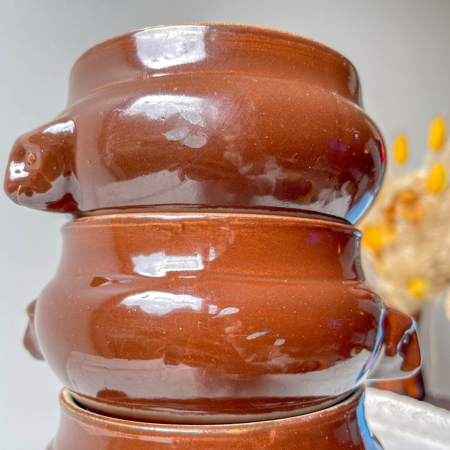 7 Bols à Soupe à l'Oignon Tête de Lion en Céramique Vintage Emile Henry - Marron, Made in France