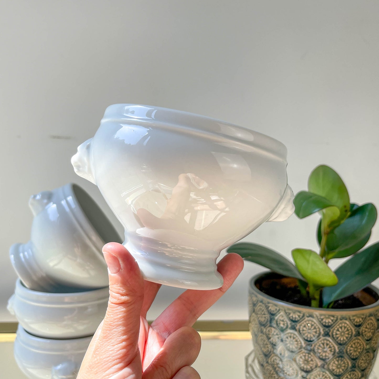 6 Bols à Soupe à l'Oignon Tête de Lion en Porcelaine Vintage dépareillés - Blanc, Made in France