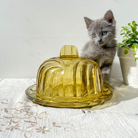Cloche à fromage en verre ambré vintage – Made in France – Plateau à fromage rétro