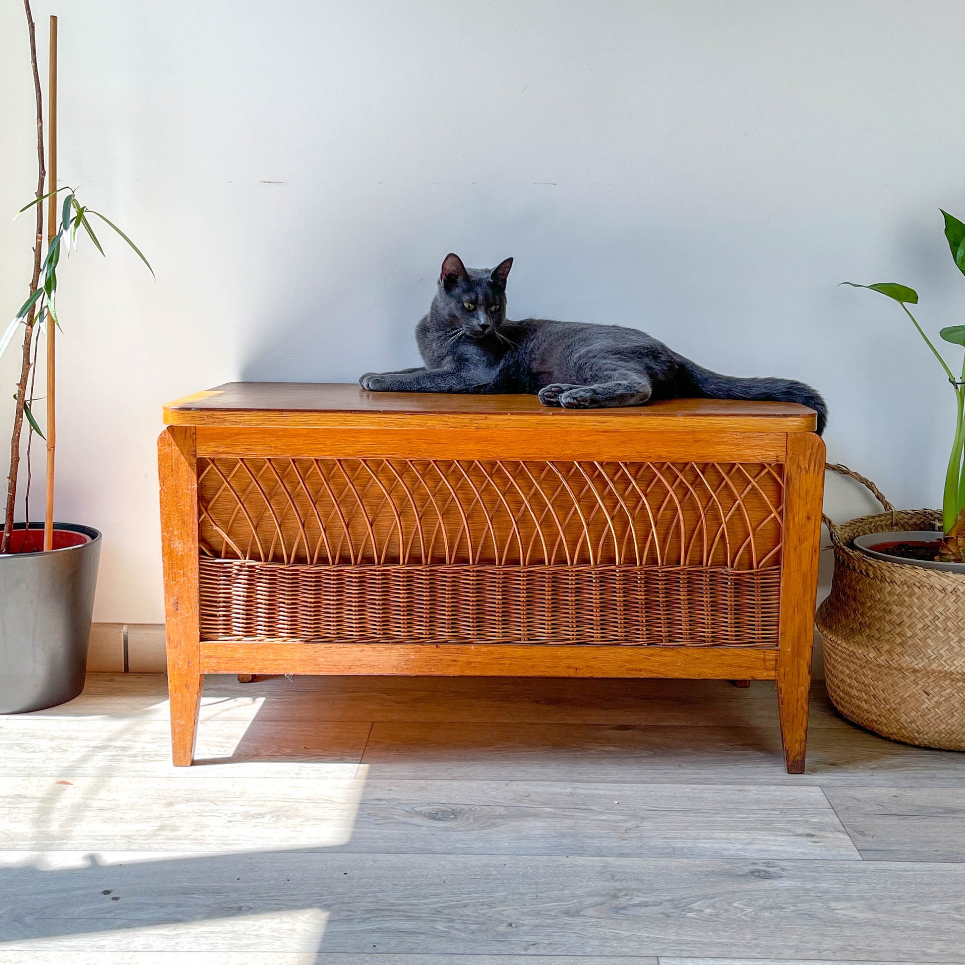 Banc coffre vintage en bois et rotin – Années 60 – Banc de rangement rétro déco entrée ou chambre
