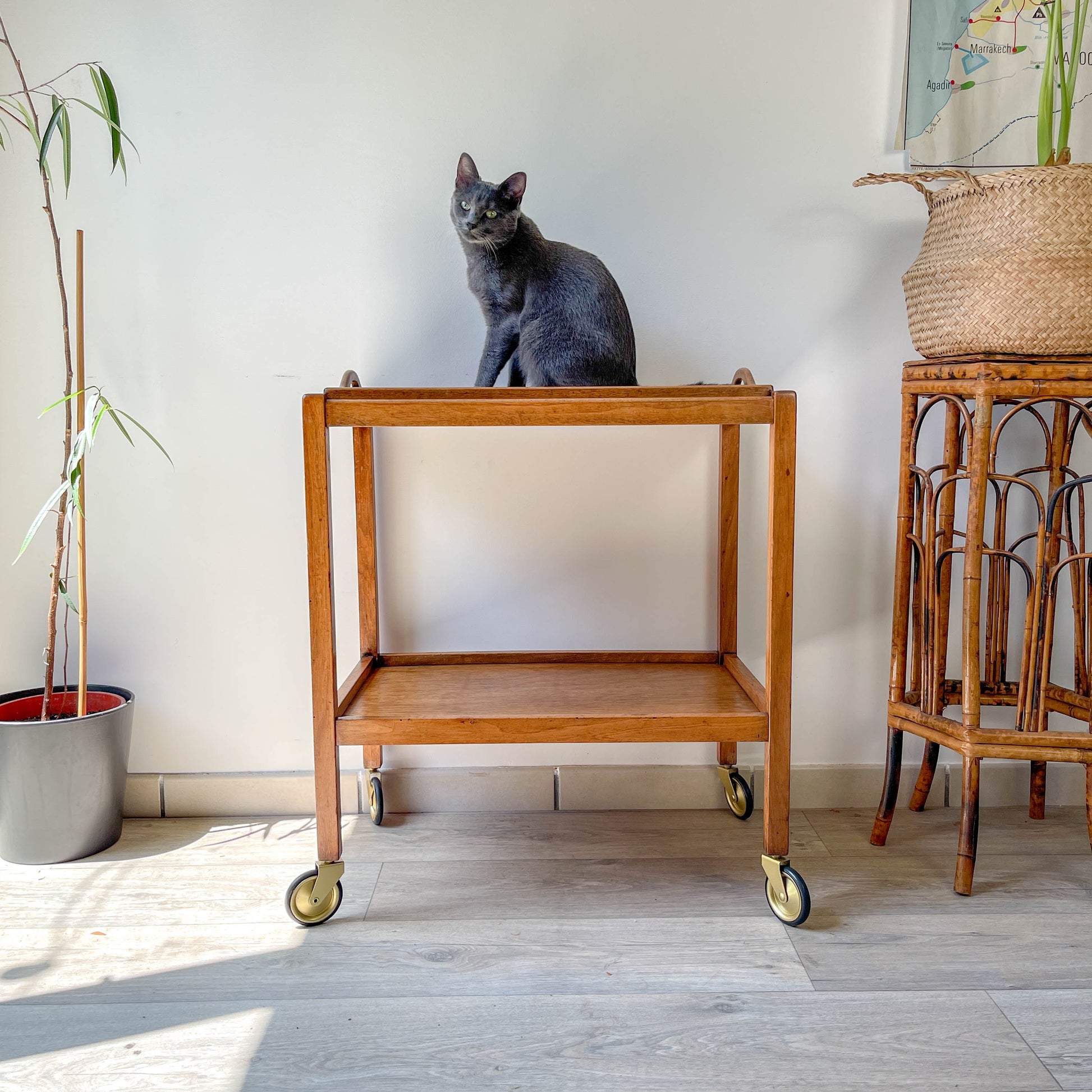 Desserte vintage en bois à roulettes – Table d’appoint 60s – Bar roulant rétro avec plateau en verre amovible