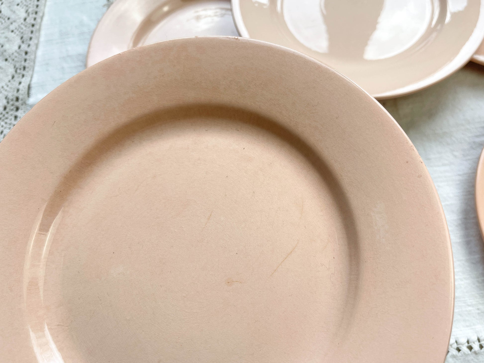 Assiettes plates en faïence Rose Digoin Sarreguemines