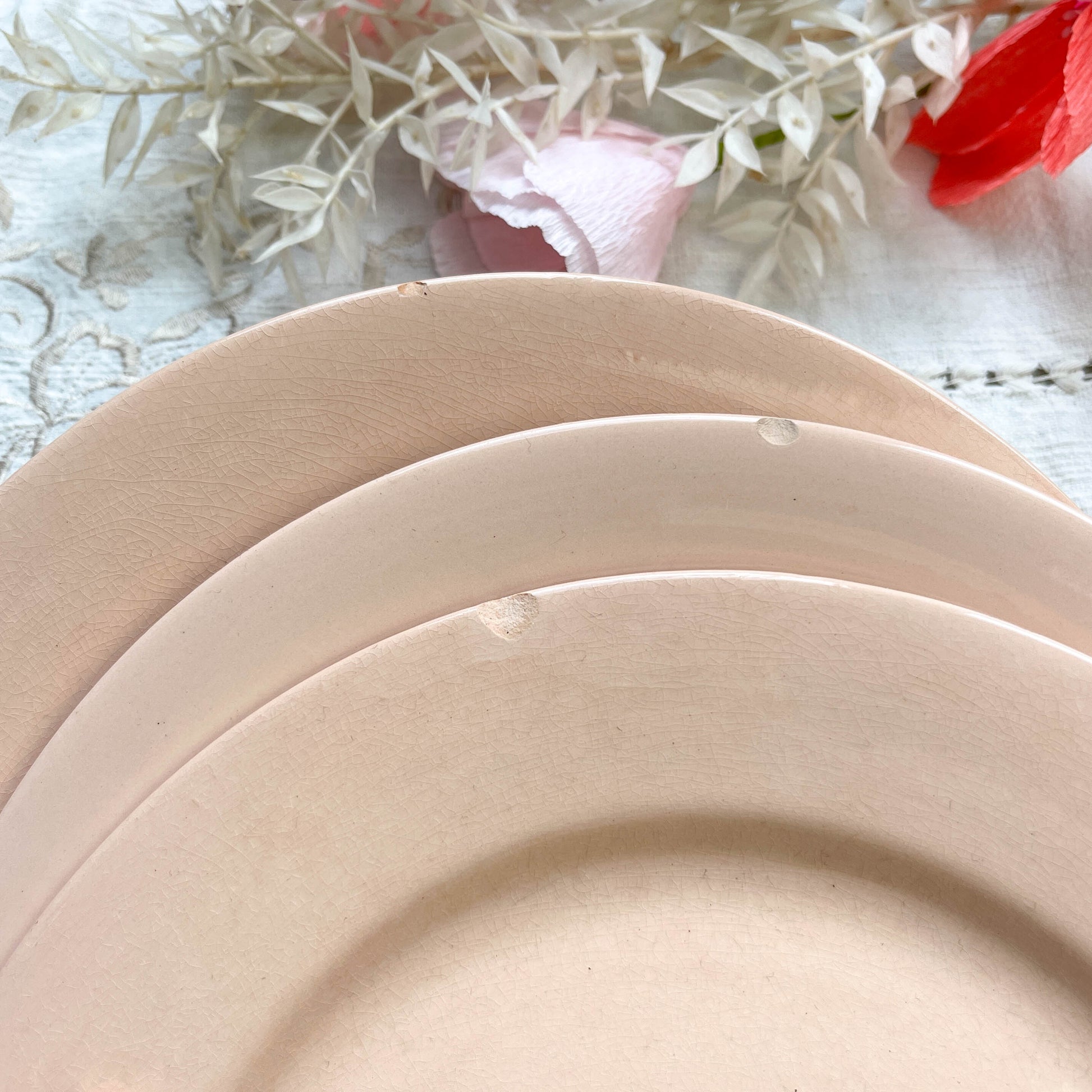 Assiettes plates en faïence Rose Digoin Sarreguemines