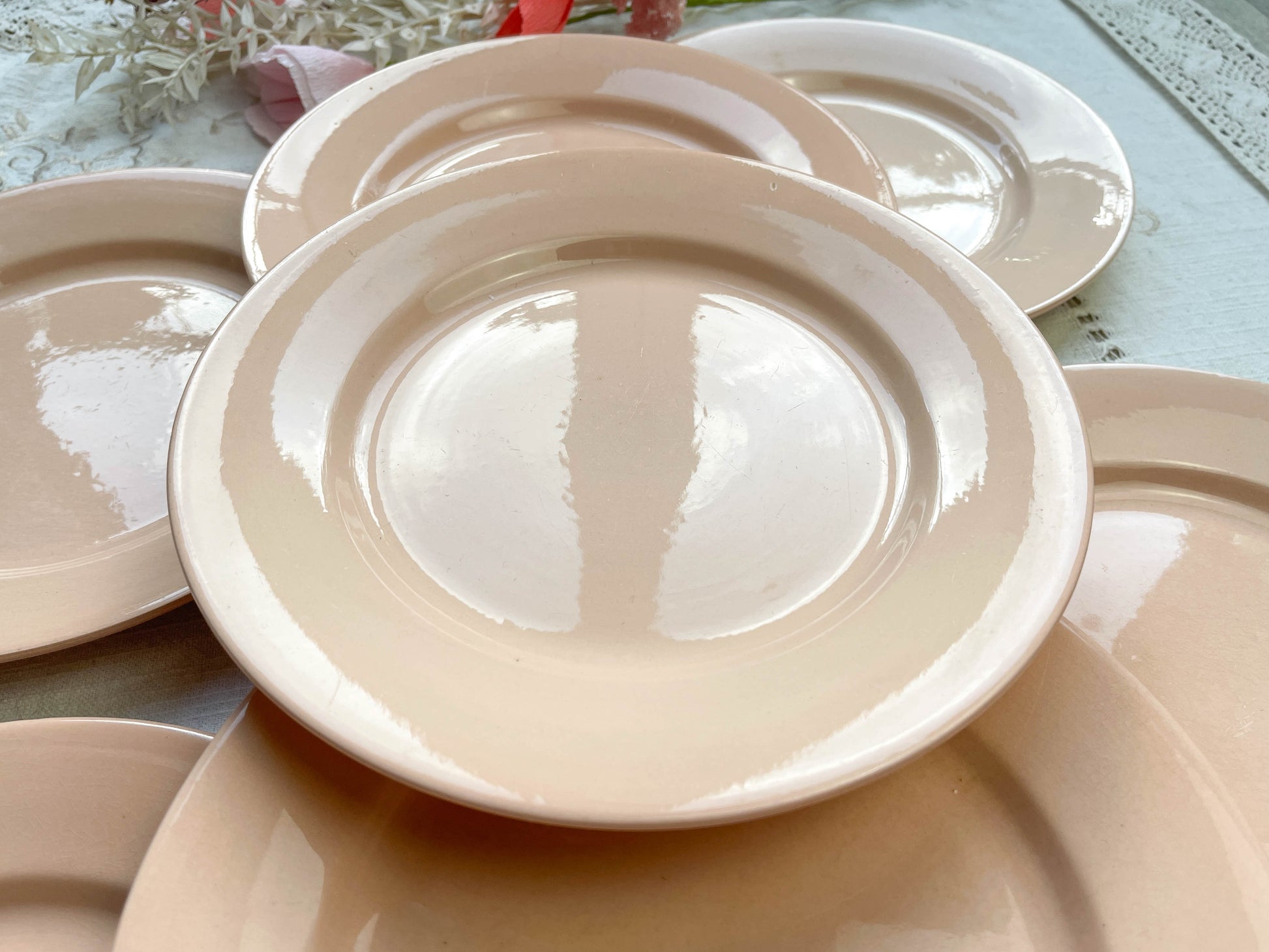 Assiettes plates en faïence Rose Digoin Sarreguemines