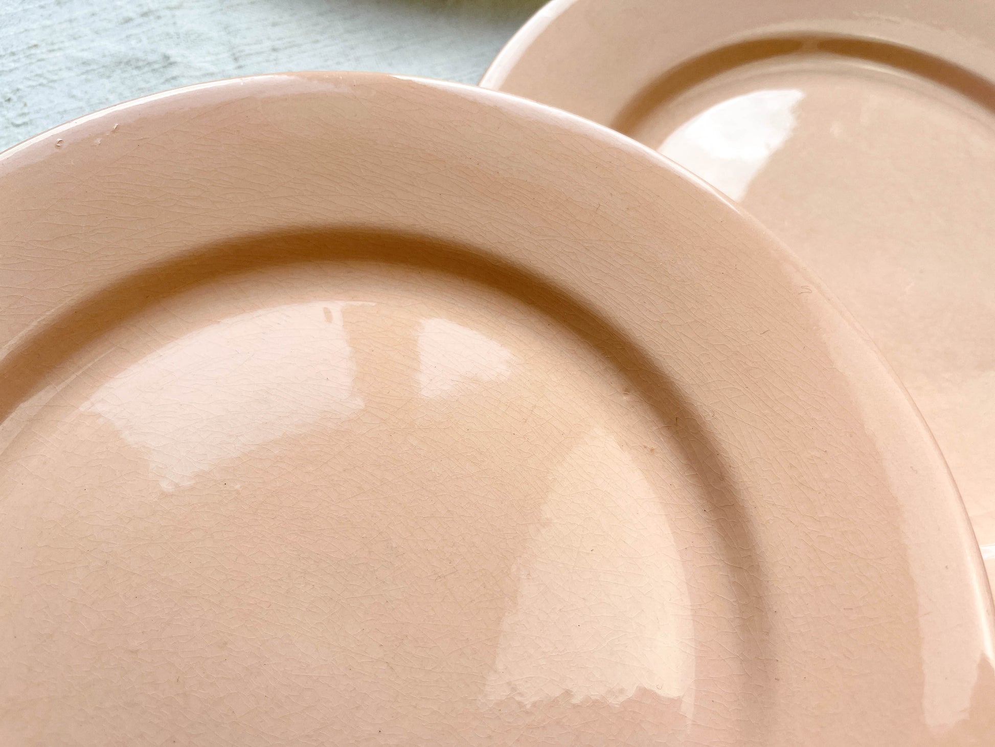 Assiettes plates en faïence Rose Digoin Sarreguemines