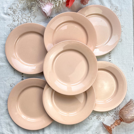 Assiettes plates en faïence Rose Digoin Sarreguemines