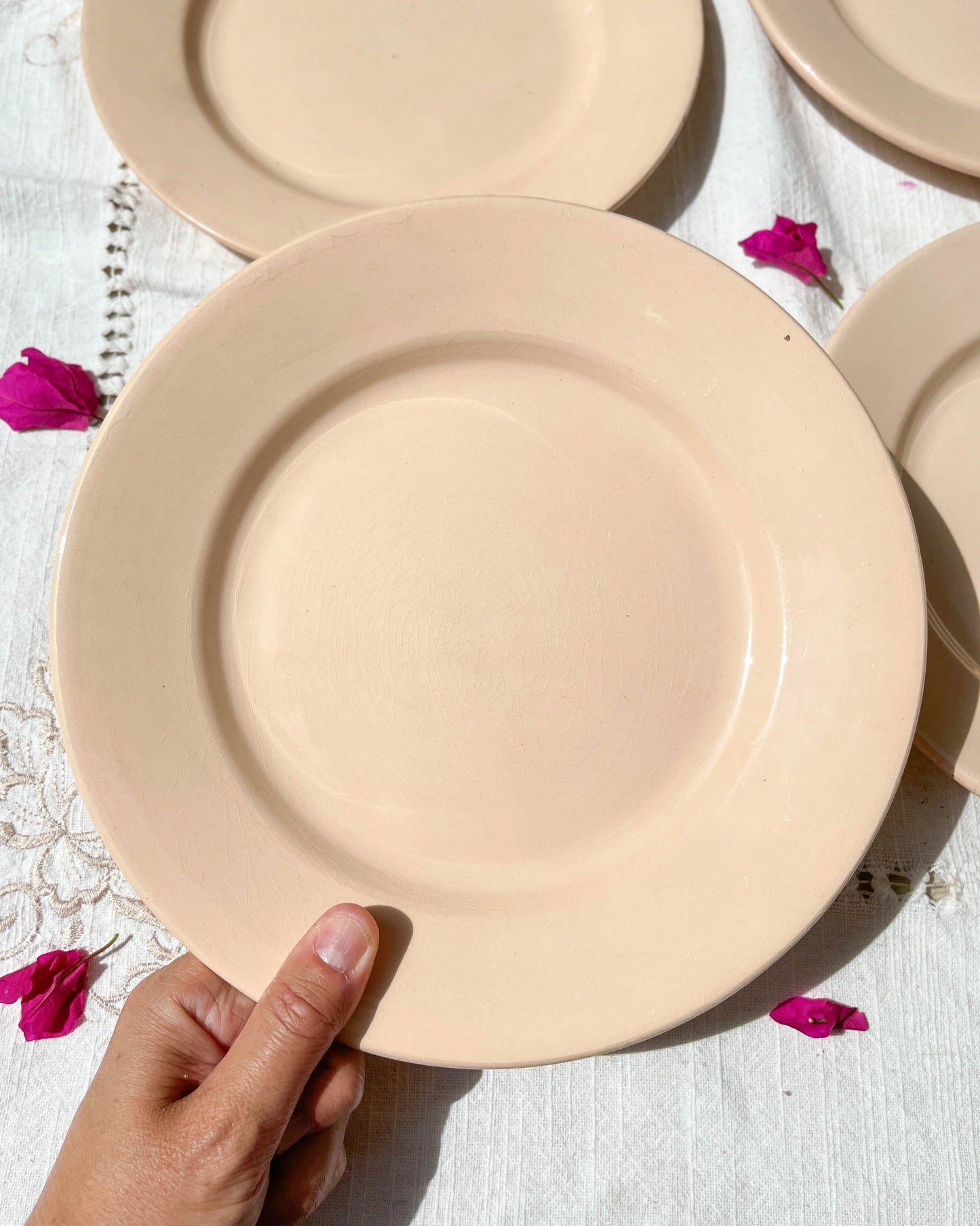 4 Pink Digoin Sarreguemines flat plates