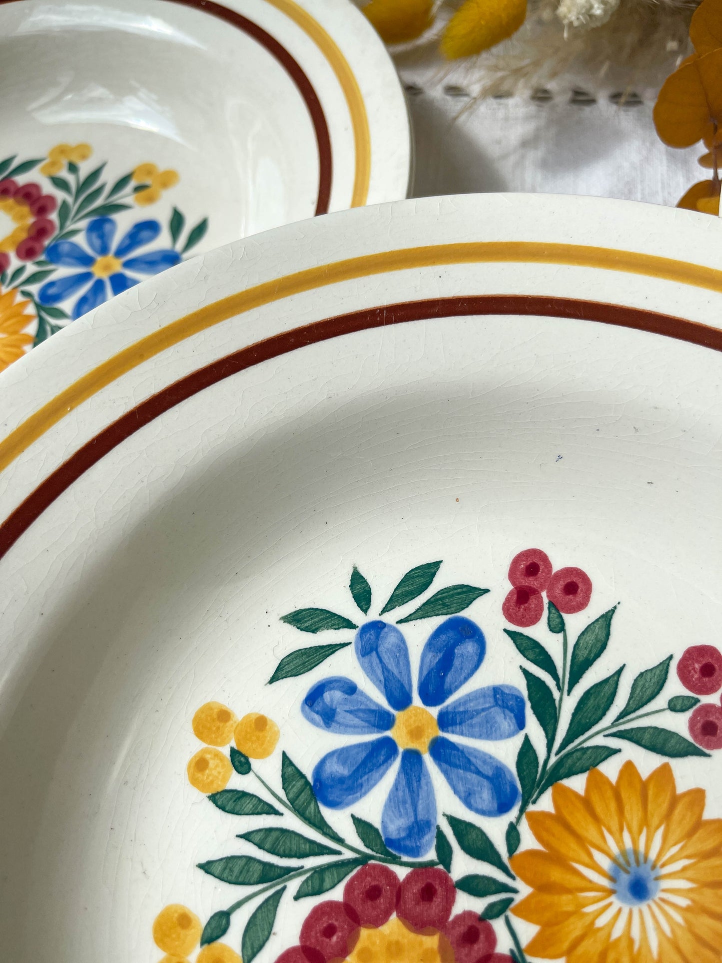 5 ORSAY Printemps Paris earthenware soup plates