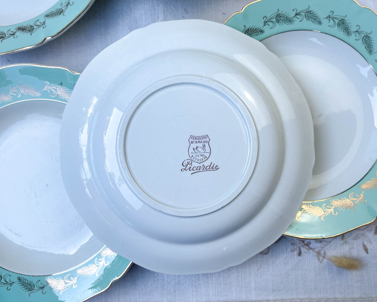 6 St Amand Céranord PICARDIE model deep plates in white, green and gold earthenware