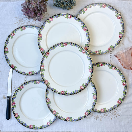 7 DIGOIN opaque porcelain flat plates with floral pattern 3984
