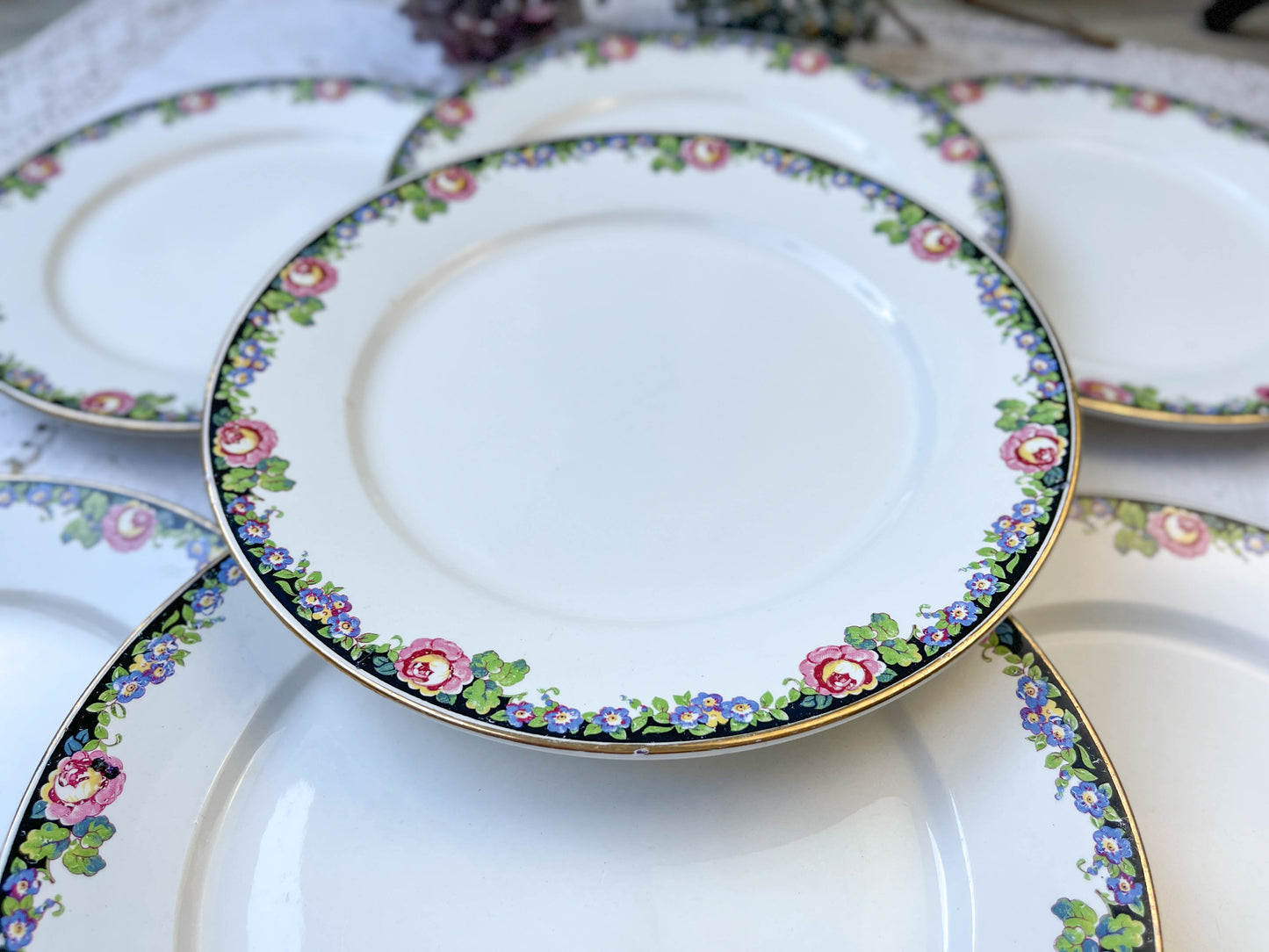 7 DIGOIN opaque porcelain flat plates with floral pattern 3984