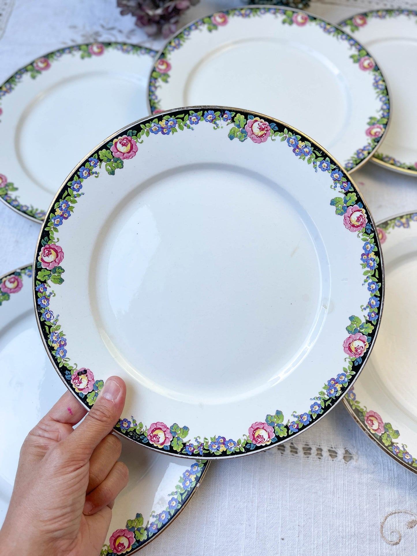 7 DIGOIN opaque porcelain flat plates with floral pattern 3984
