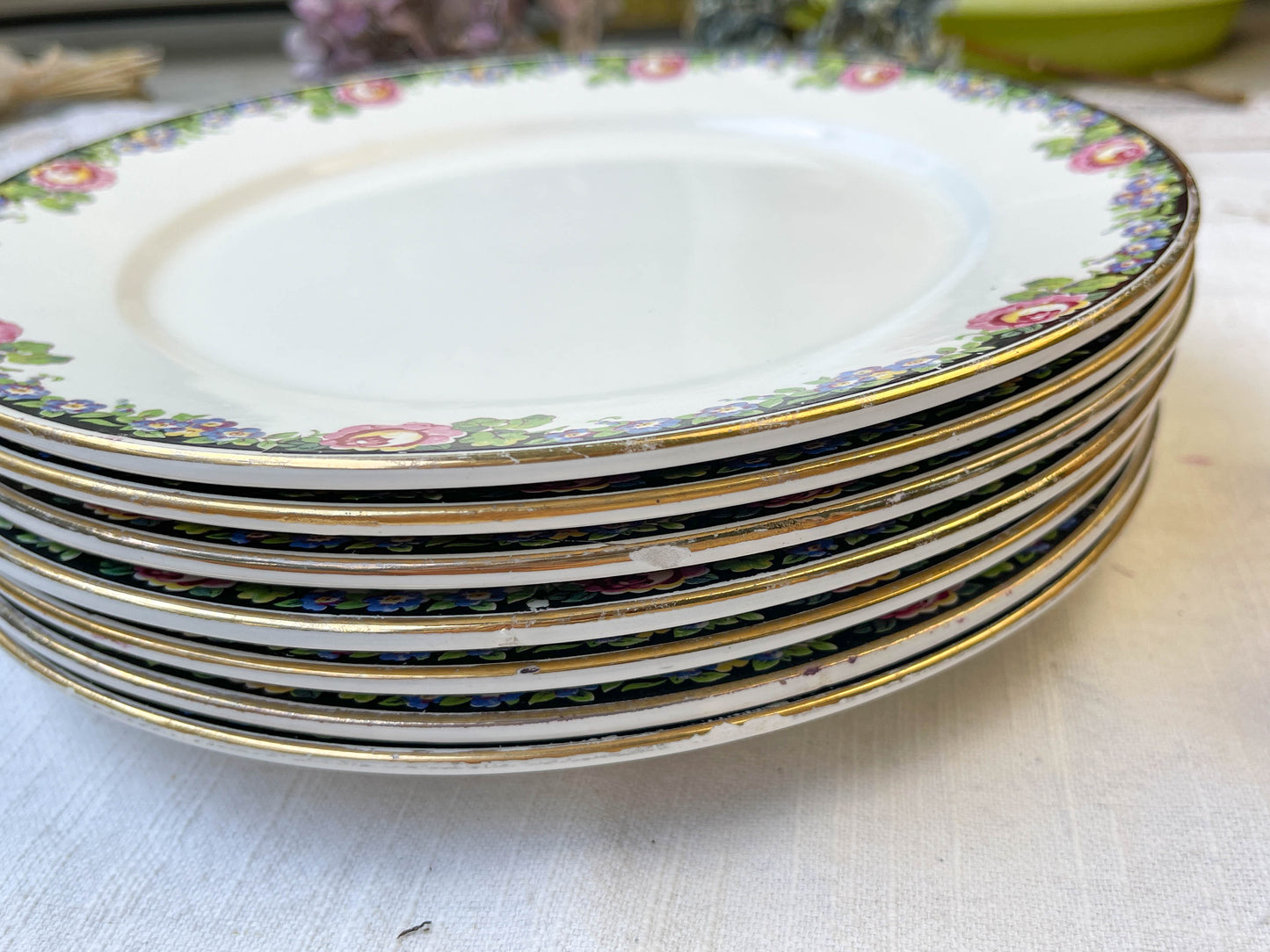 7 DIGOIN opaque porcelain flat plates with floral pattern 3984