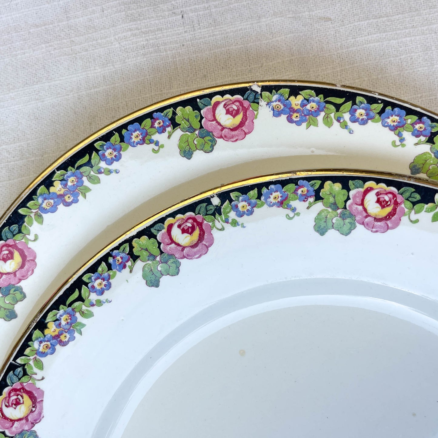 7 DIGOIN opaque porcelain flat plates with floral pattern 3984
