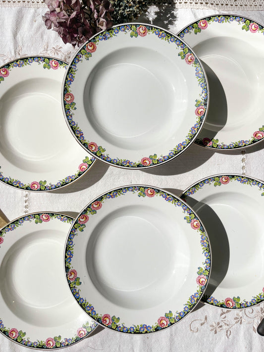 6 DIGOIN opaque porcelain soup plates with floral pattern "3984"