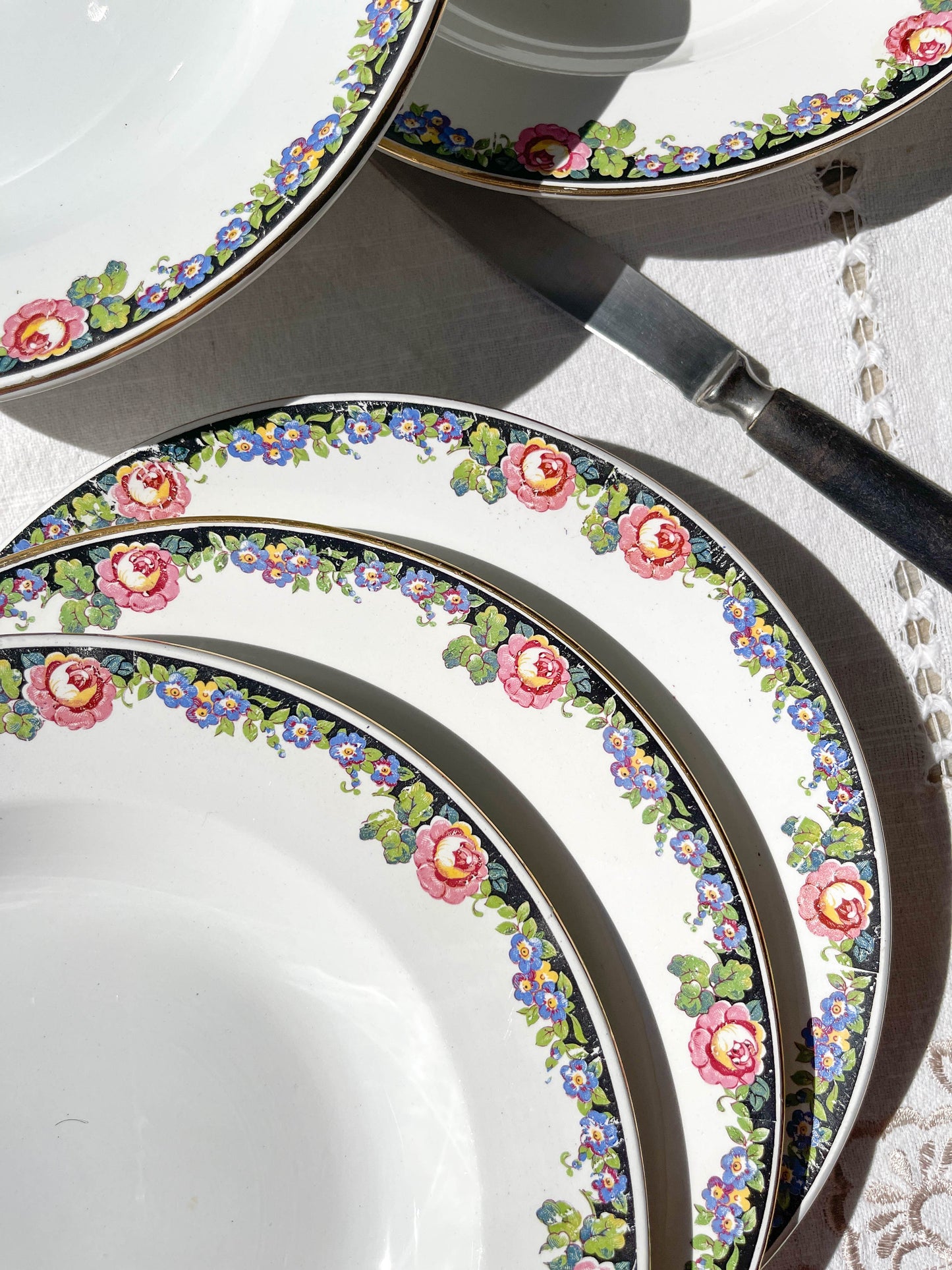 8 DIGOIN opaque porcelain soup plates with floral pattern 3984