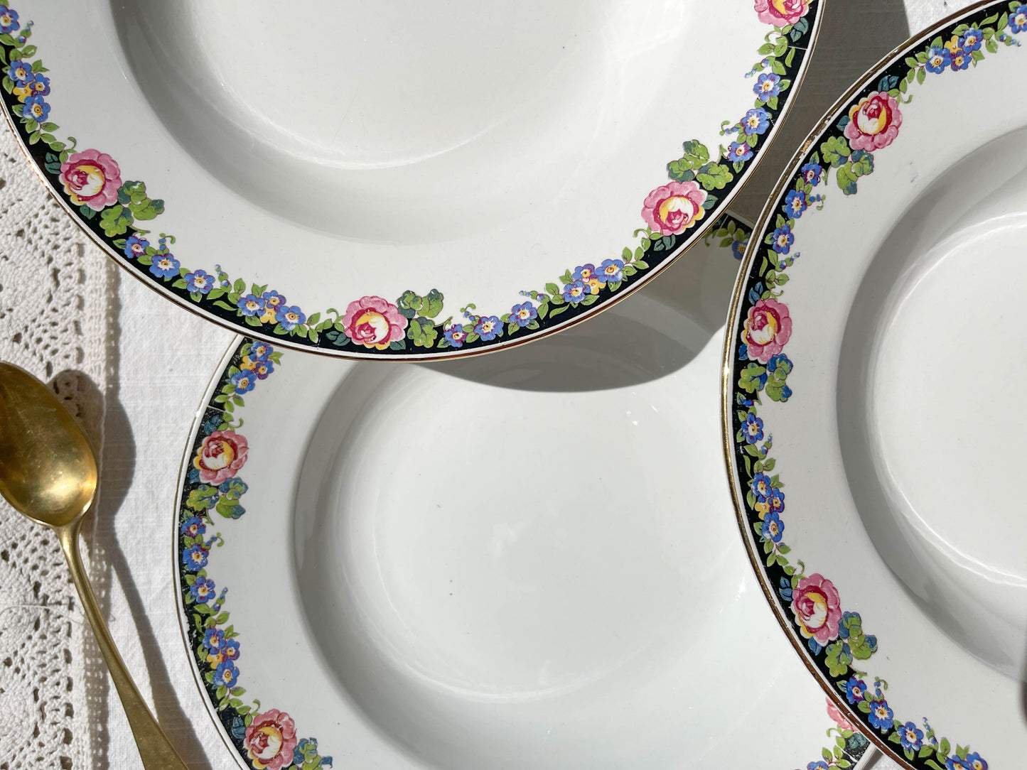 8 DIGOIN opaque porcelain soup plates with floral pattern 3984