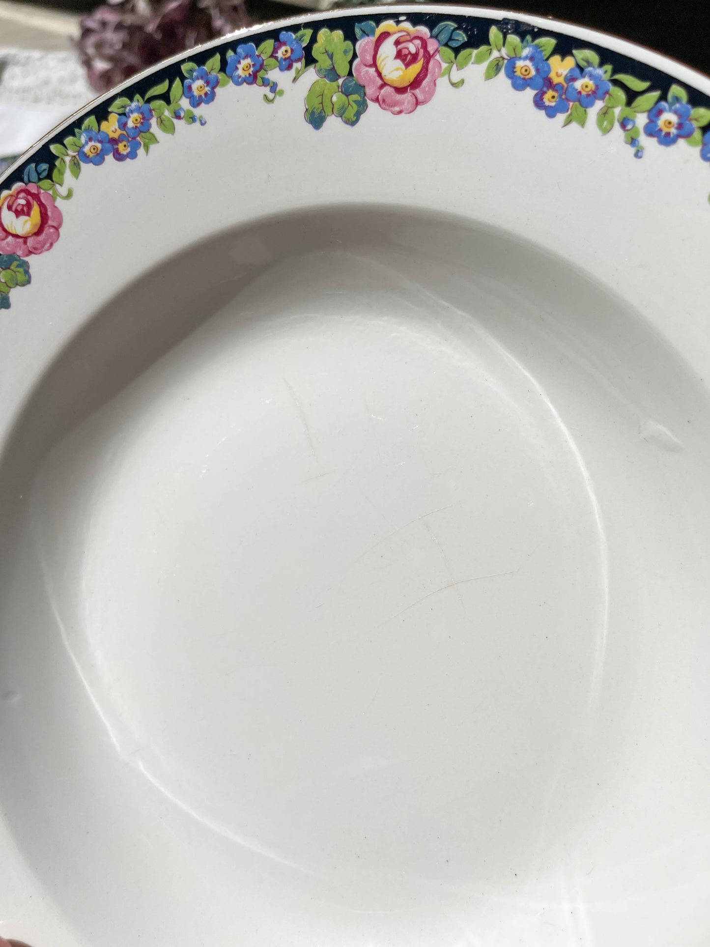 8 DIGOIN opaque porcelain soup plates with floral pattern 3984