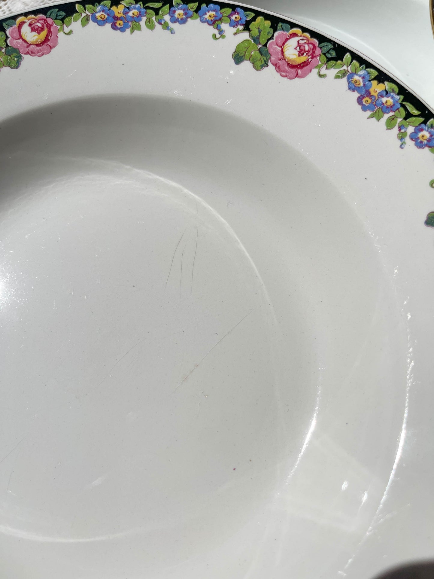 8 DIGOIN opaque porcelain soup plates with floral pattern 3984
