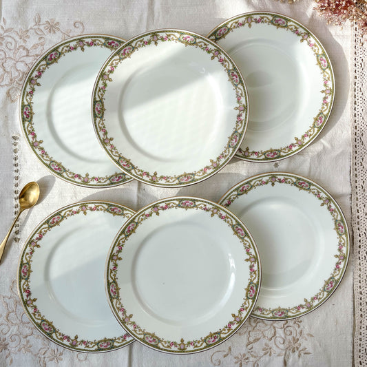 6 Small LIMOGES B&C porcelain plates with floral pattern