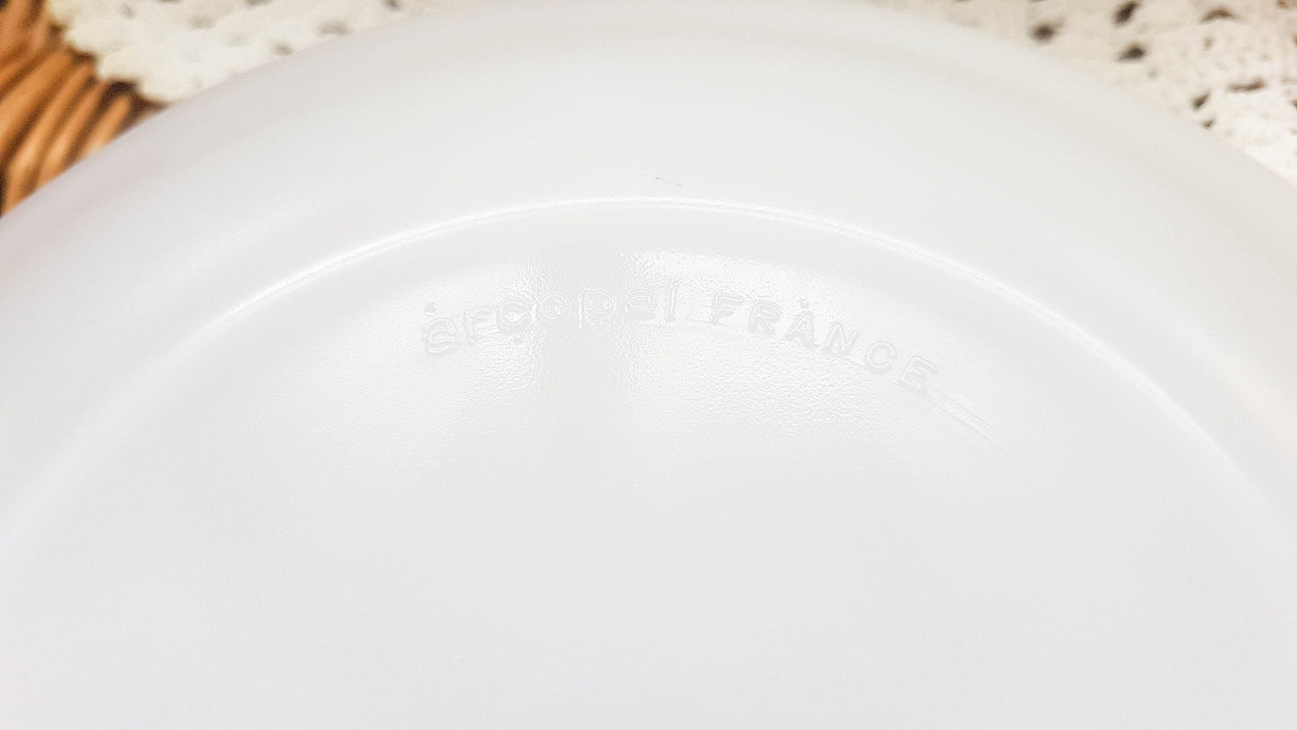 6 small white Arcopal plates made in France