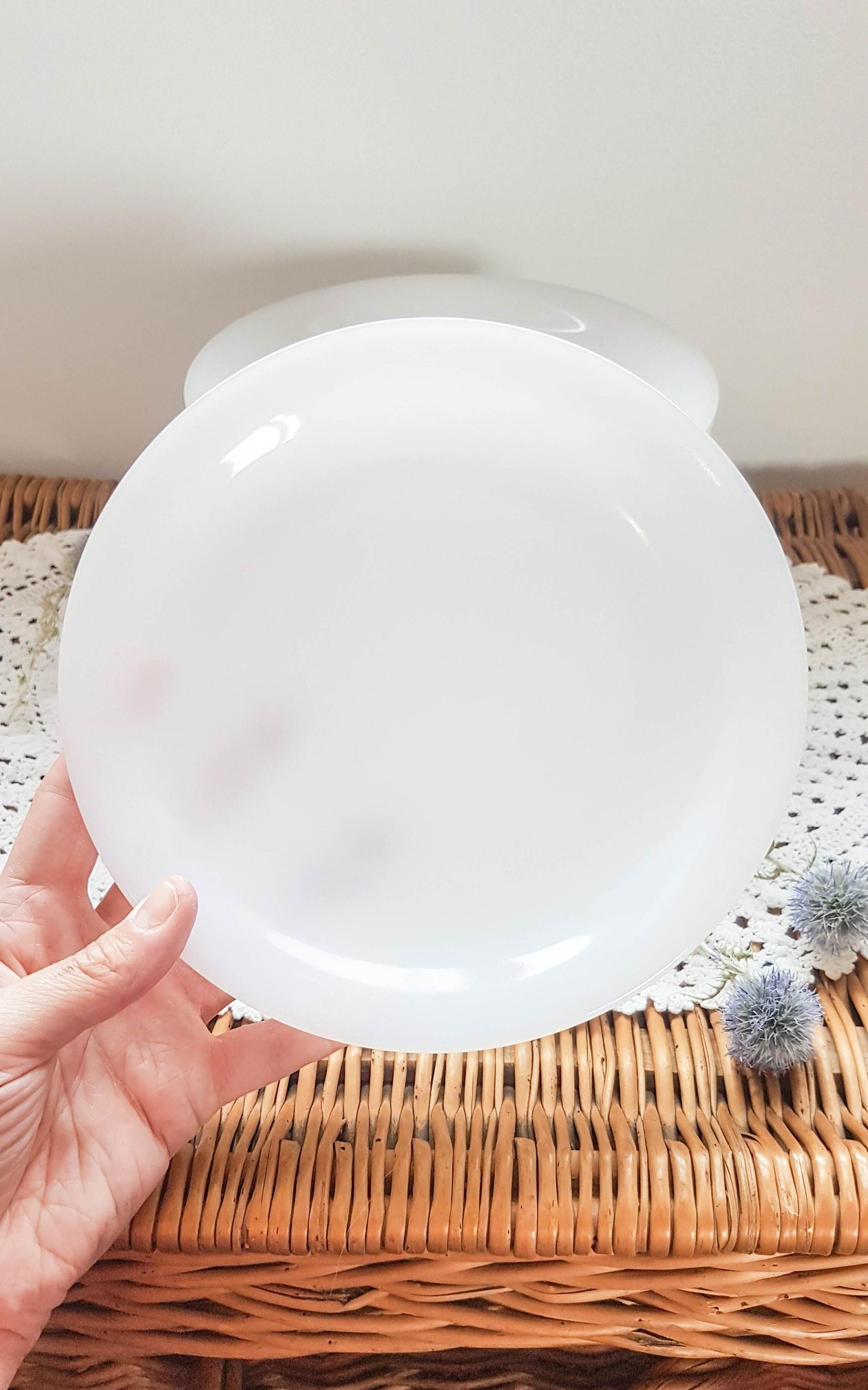 6 small white Arcopal plates made in France