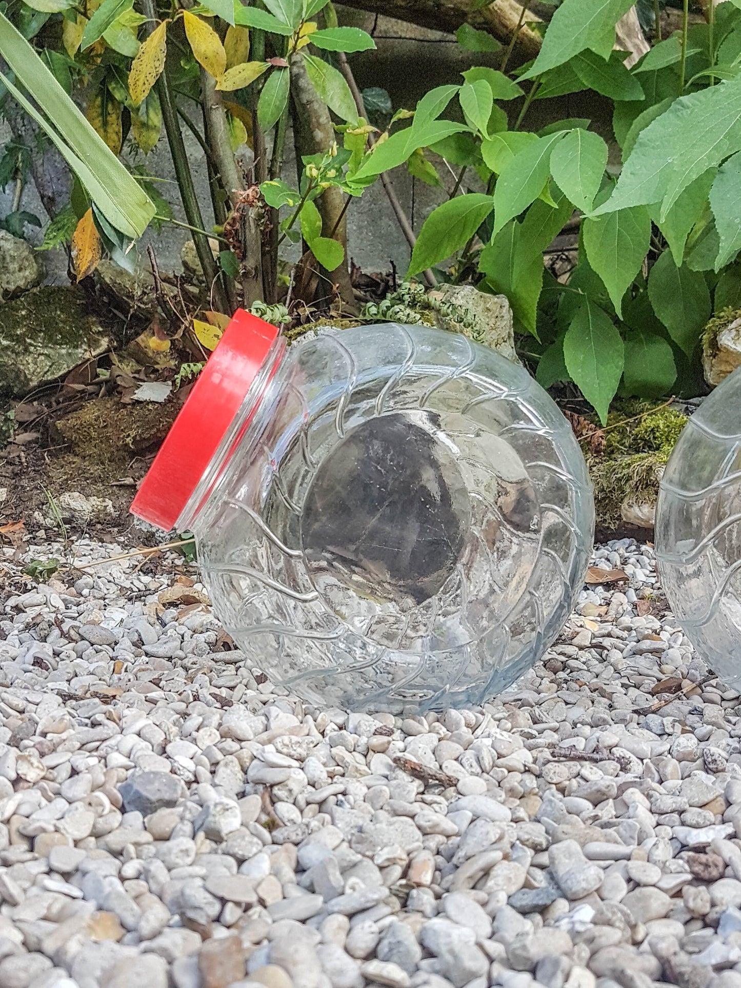 Vintage glass jar CONVETRO made in Italy