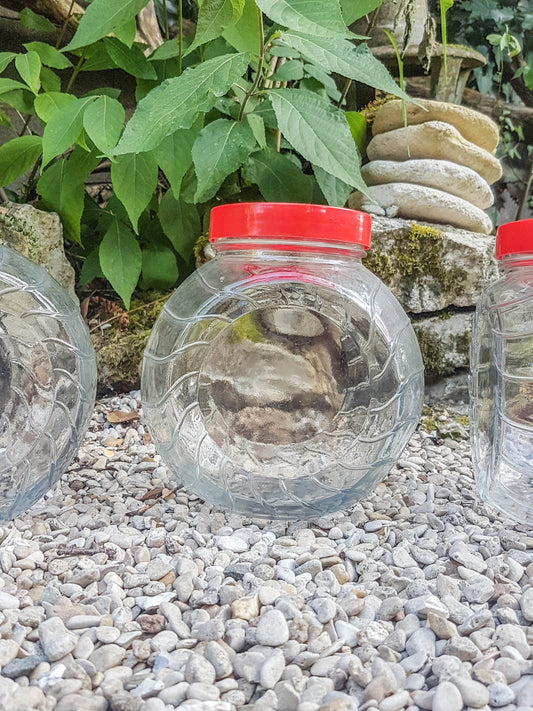 Vintage glass jar CONVETRO made in Italy