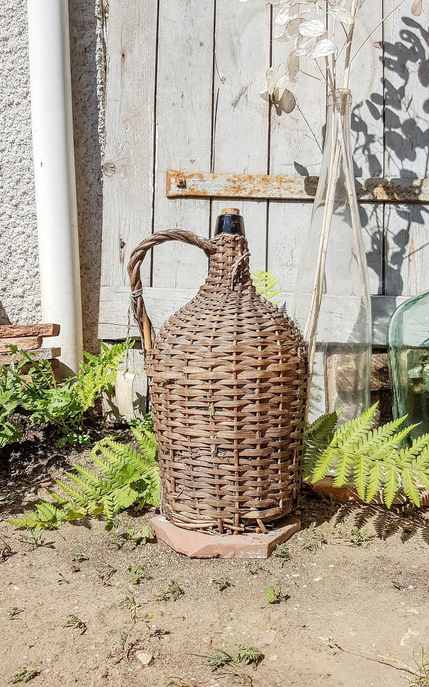 Dame Jeanne Vintage - violn.fr