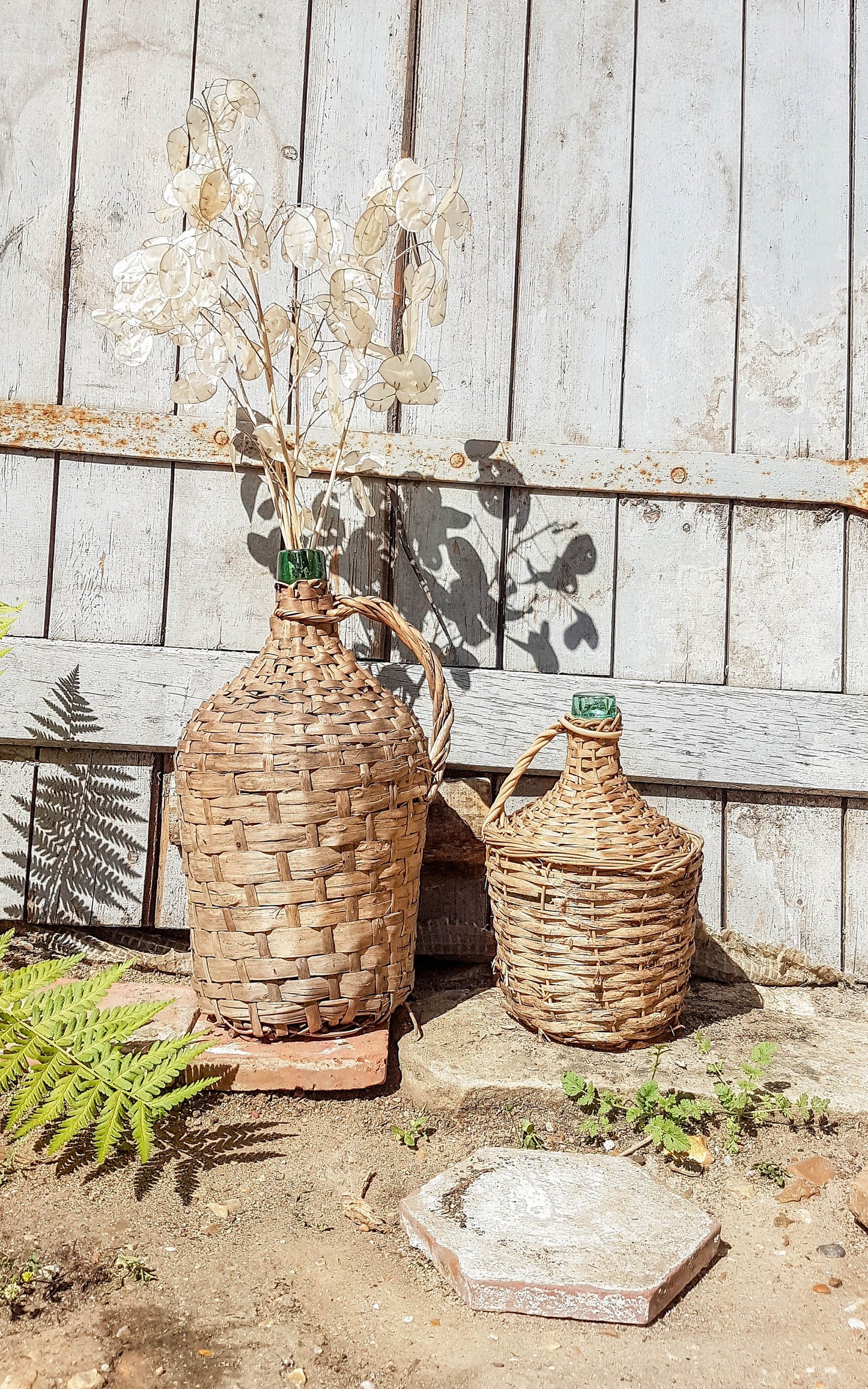 Dame Jeanne Vintage - violn.fr