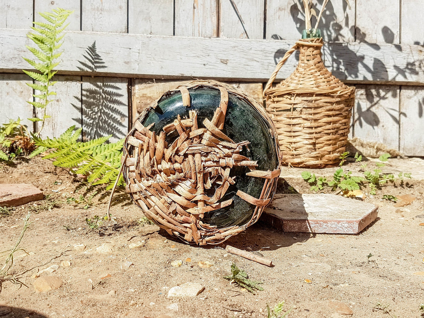 Dame Jeanne Vintage - violn.fr