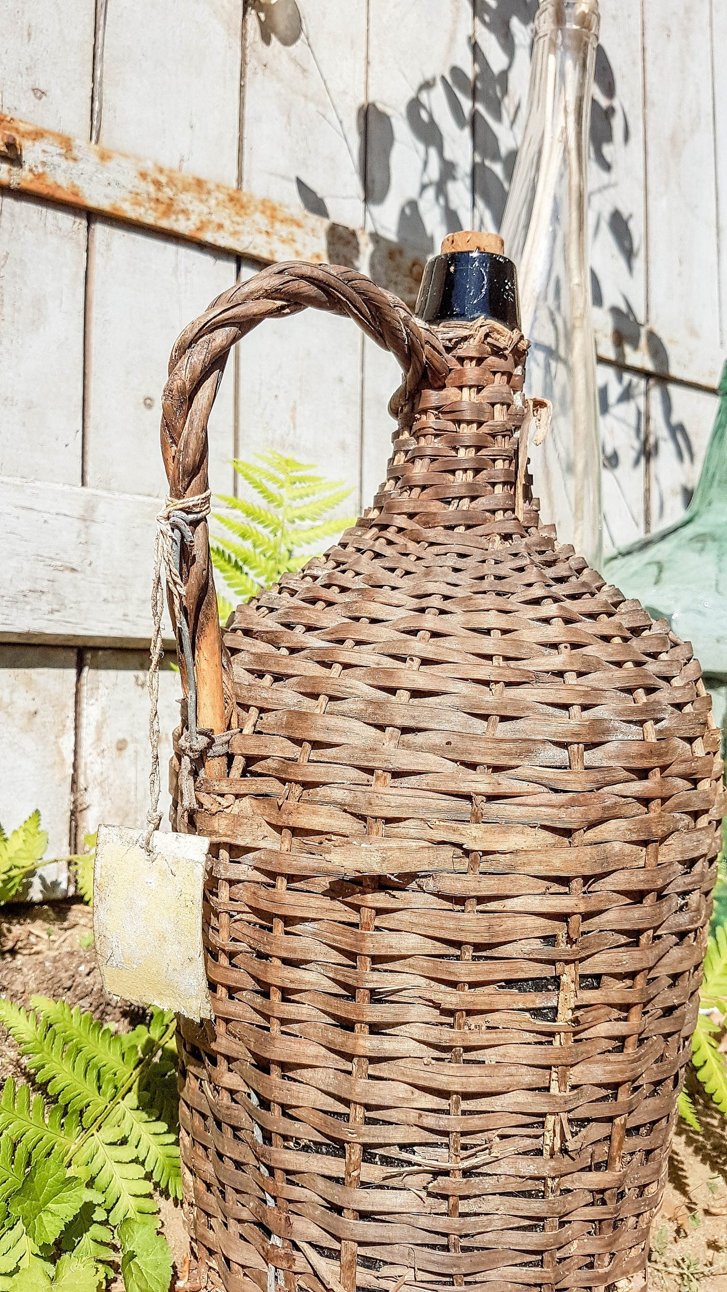 Dame Jeanne Vintage - violn.fr