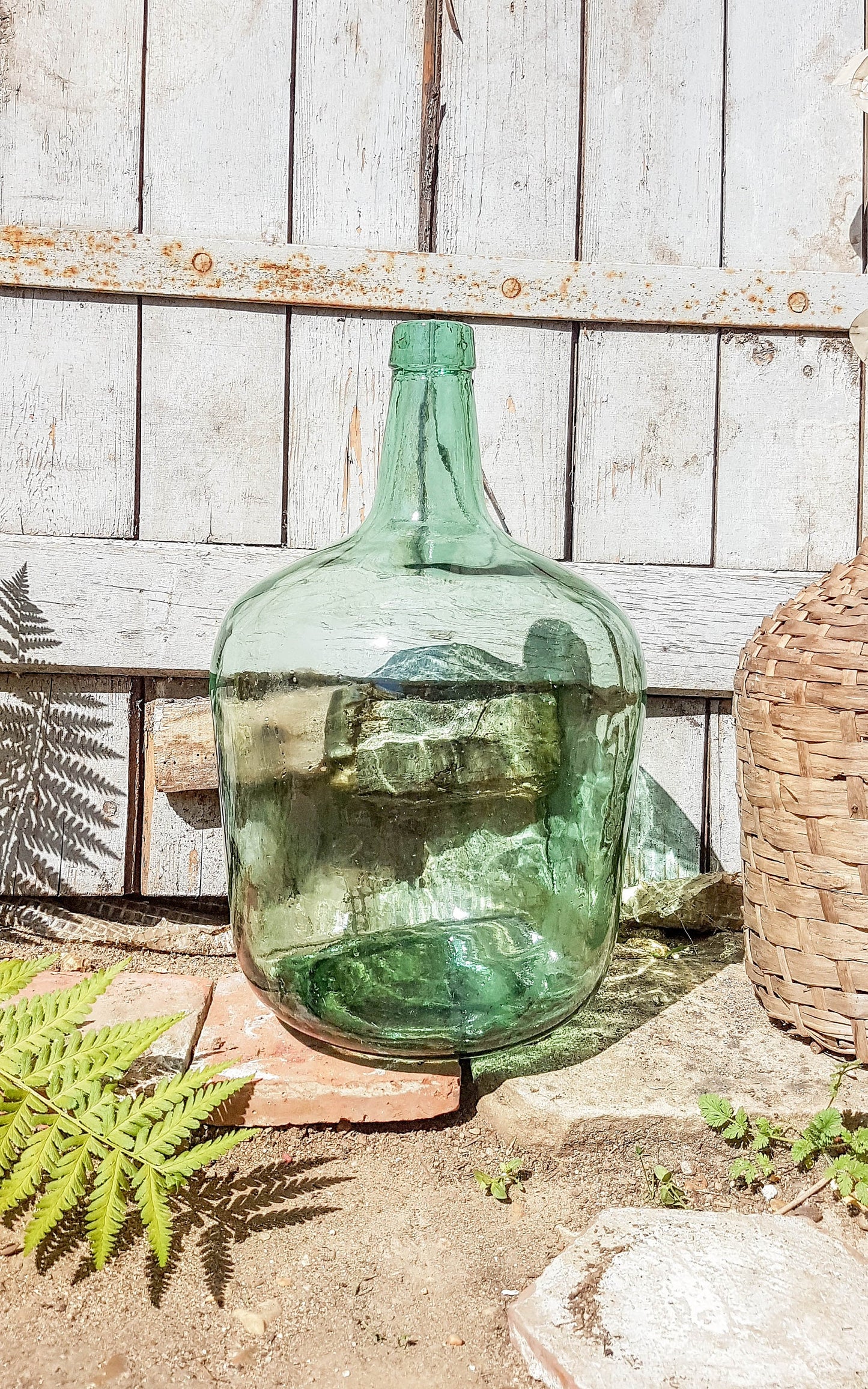 Dame Jeanne Vintage - violn.fr