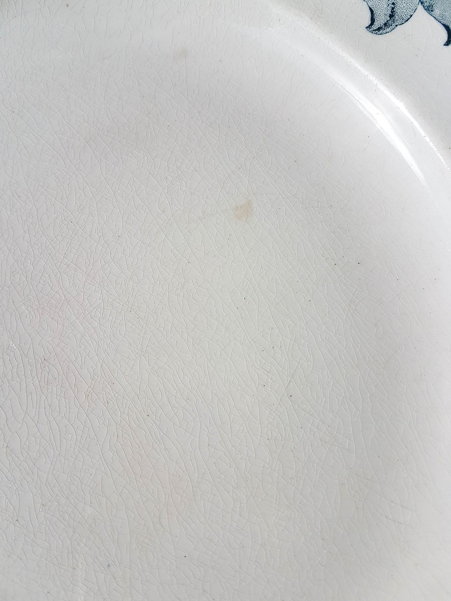 Luneville Terre de fer dish POITOU model white and blue