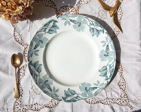 Luneville Terre de fer dish POITOU model white and blue