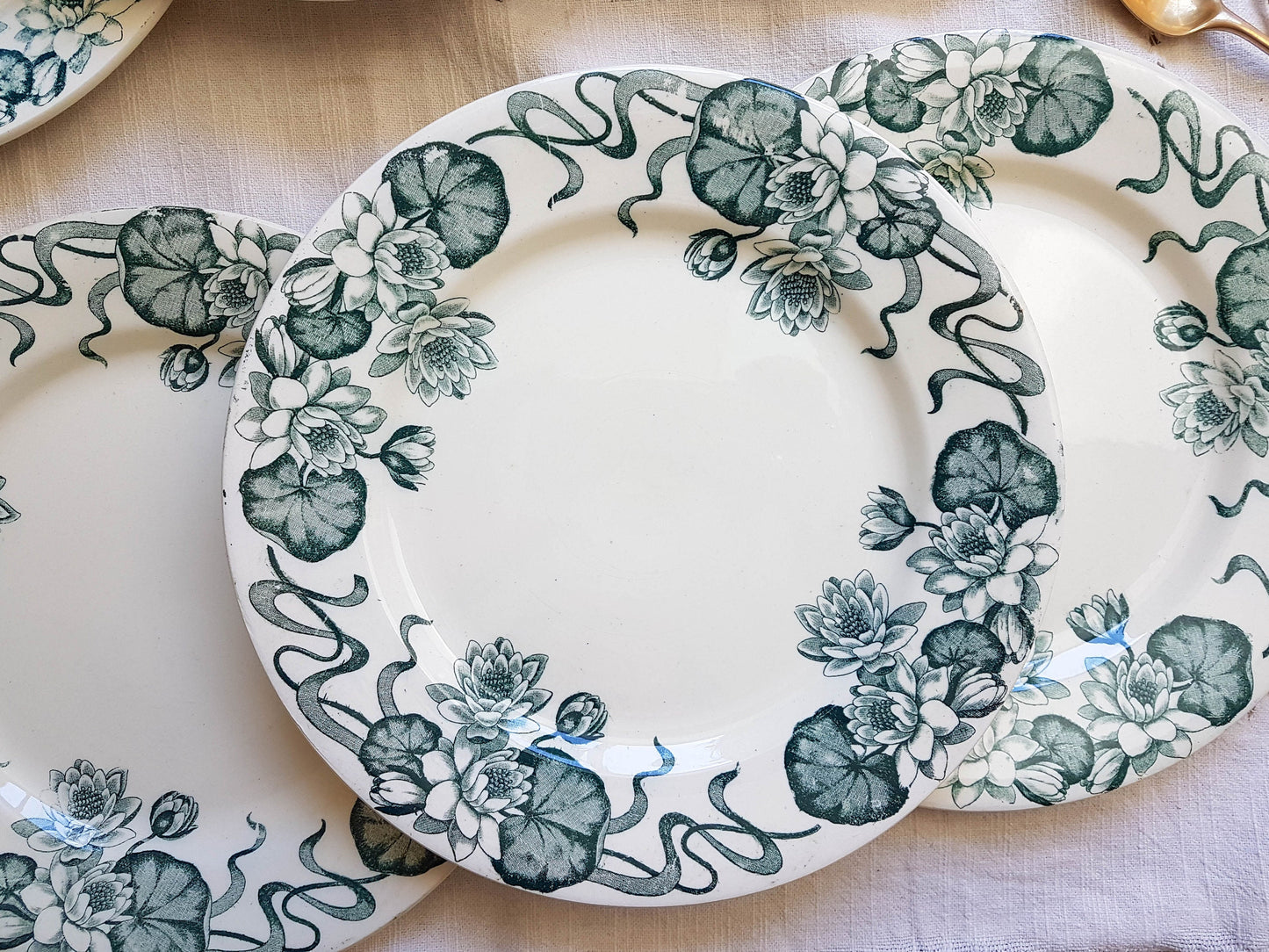 6 Assiettes plates Terre de Fer Salins modèle NENUPHAR - violn.fr