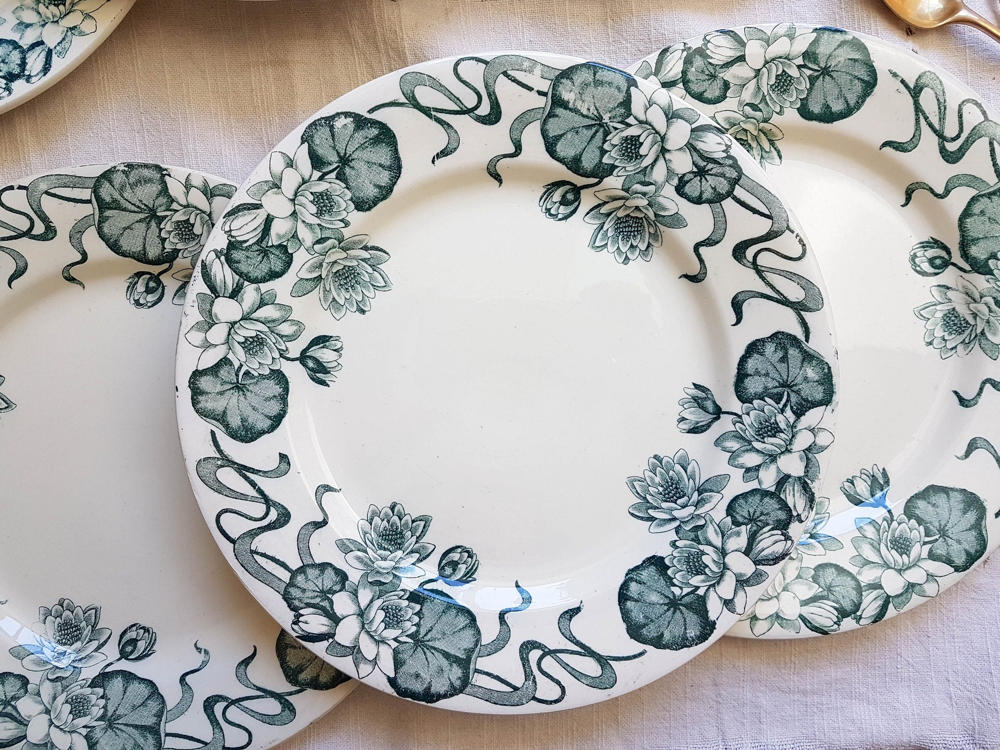 6 Assiettes plates Terre de Fer Salins modèle NENUPHAR - violn.fr
