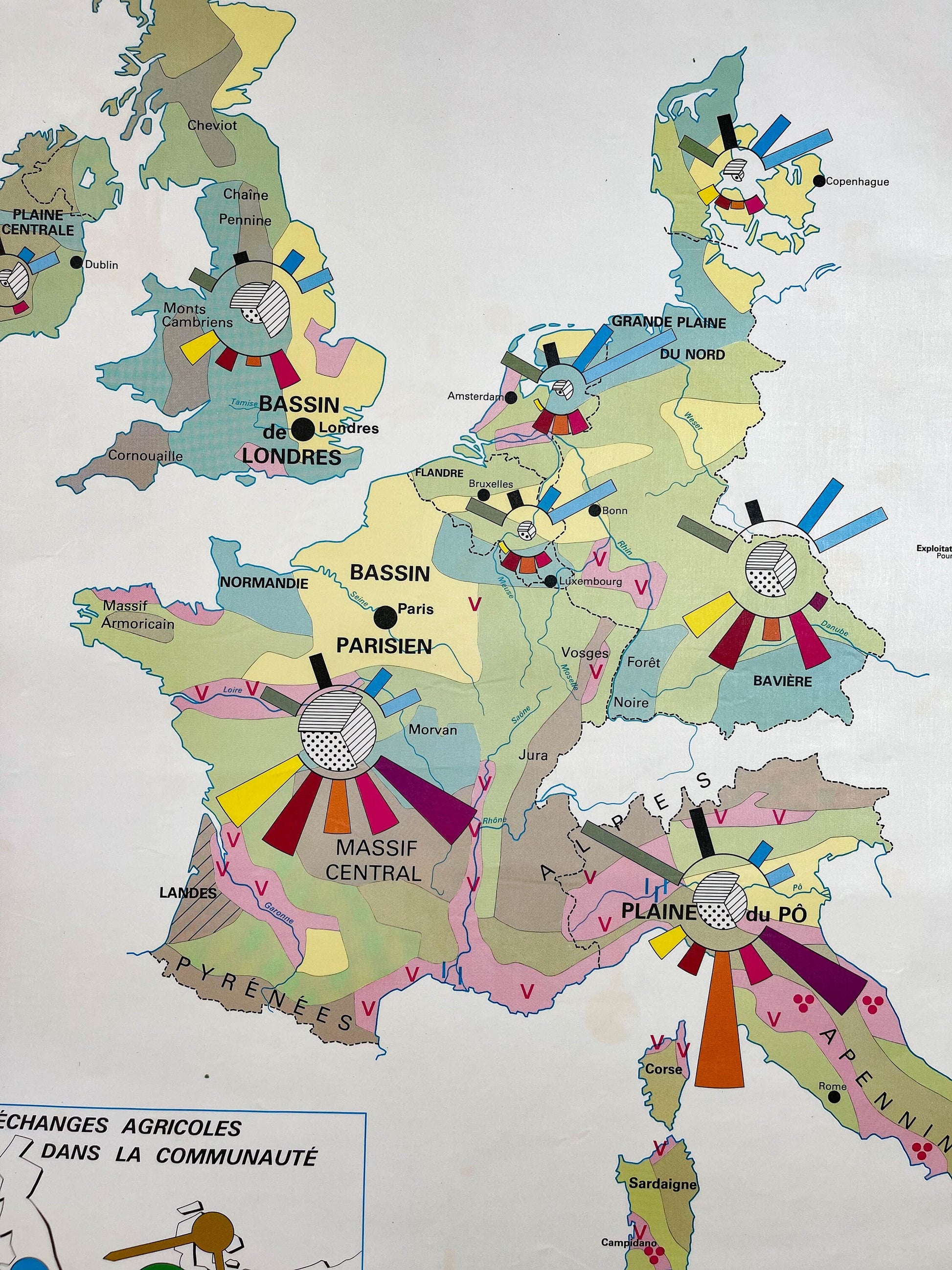 Carte Scolaire vintage L' Agriculture dans la C.E.E / L' économie industrielle dans la C.E.E MDI Année 1979 - violn.fr