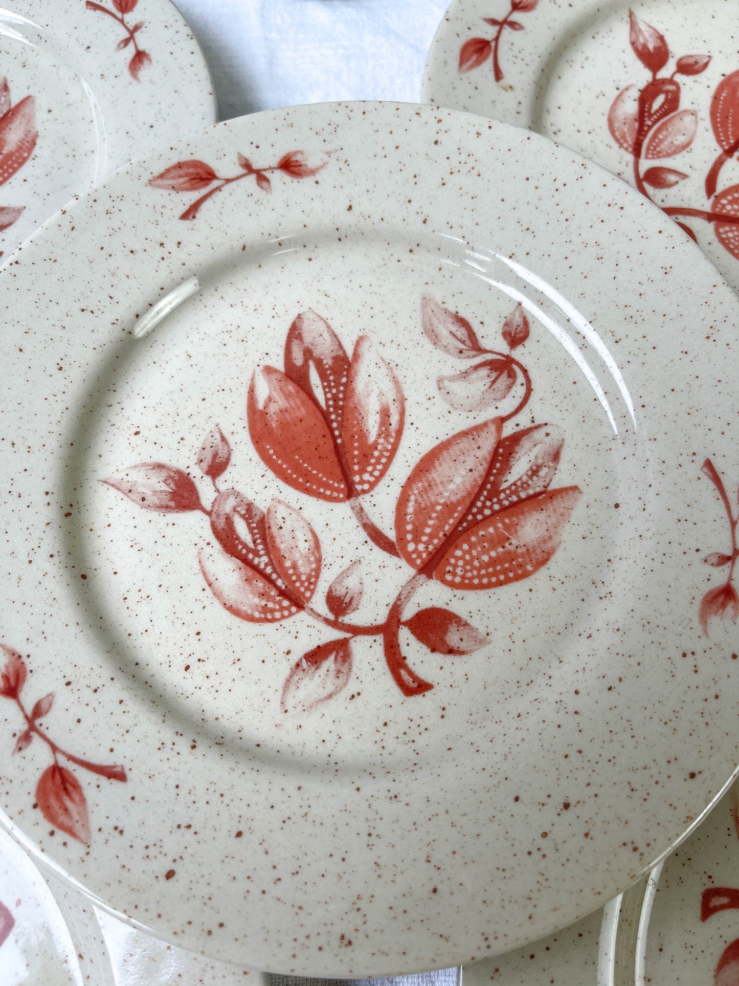 5 Petites assiettes en grès Tulowice motif fleuris - violn.fr