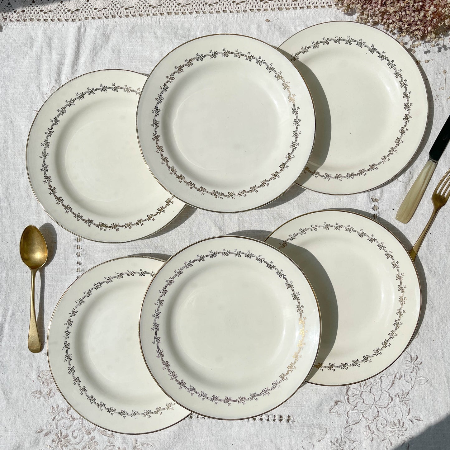 6 Assiettes plates en porcelaine opaque DIGOIN modèle SUZY - violn.fr
