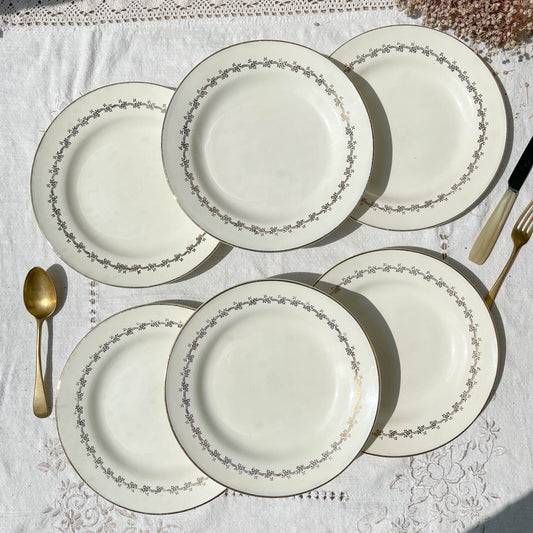 6 Assiettes plates en porcelaine opaque DIGOIN modèle SUZY - violn.fr