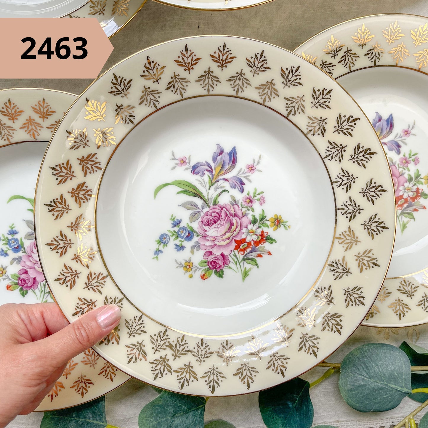 Assiette CREUSE PORCELAINE Fleurie vintage à l'unité
