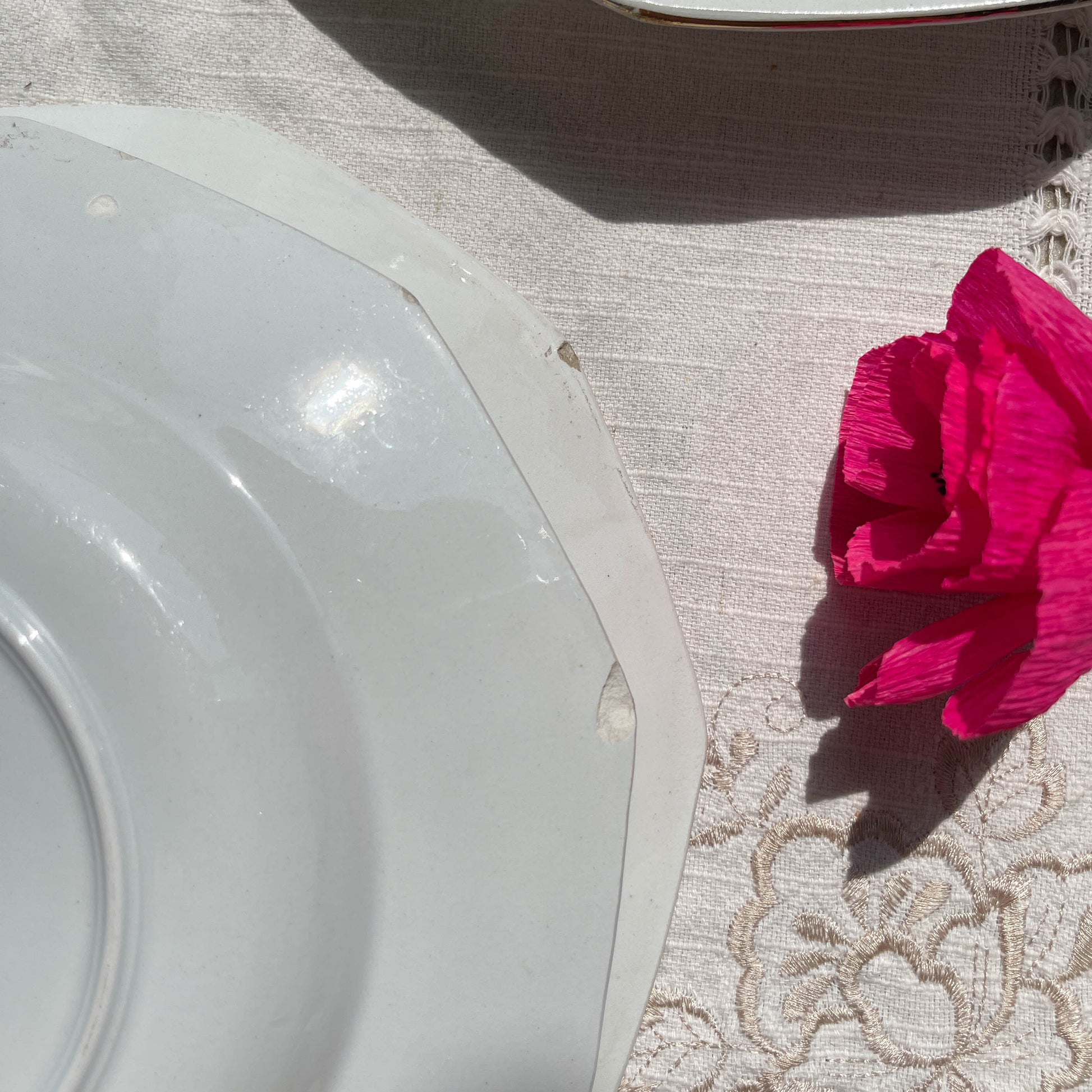 Assiettes creuses vintage en porcelaine opaque SALINS motif fleuri